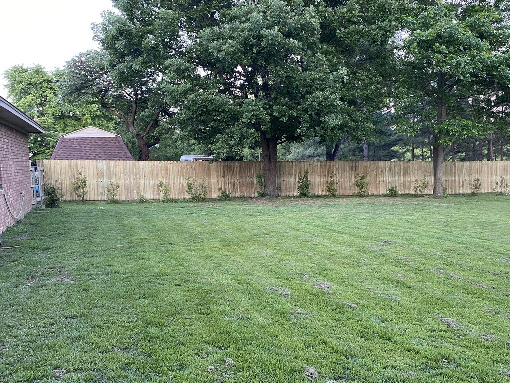 img 0689